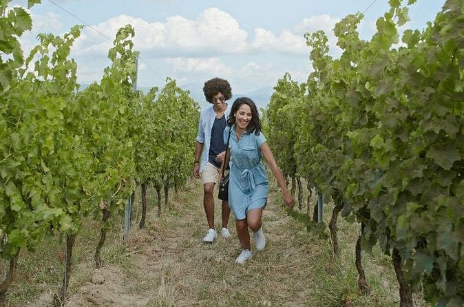 8 Hour Ontario Wine Tour with Cheese and Charcuterie - Should you book Out of Town Lincoln’s Niagara wine tour?