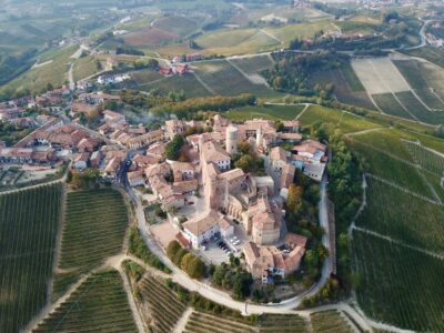 Alba: Truffle Hunting with Cheese, Truffle, & Wine Tastings - Meet Elio and the Dogs: How the Hunt Works in Practice
