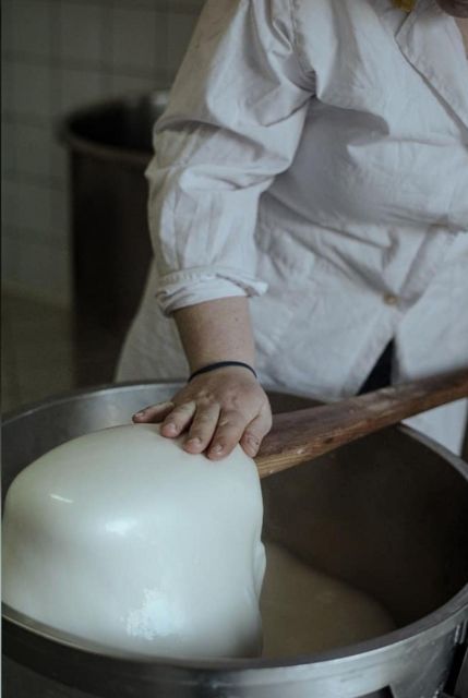Amalfi Coast vintage tour with cheese and wine tasting - Tasting Tramonti cheese: how to make the most of the samples