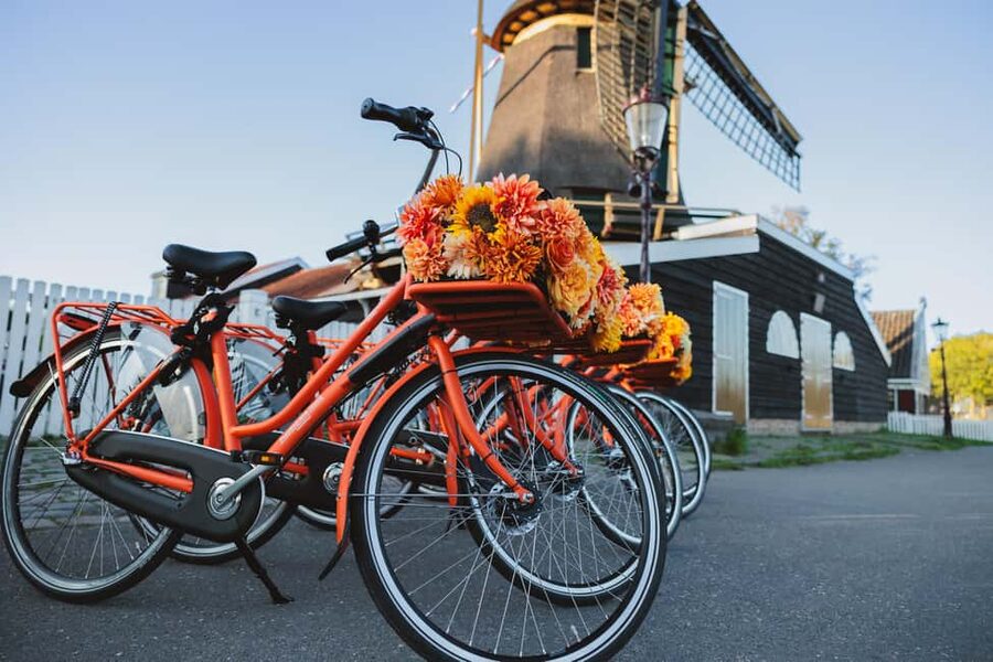 Amsterdam: Cheese Tasting, Windmill & Countryside Bike Tour - The real centerpiece: Dikhoeve Kaas farm, animals, and cheese tastings
