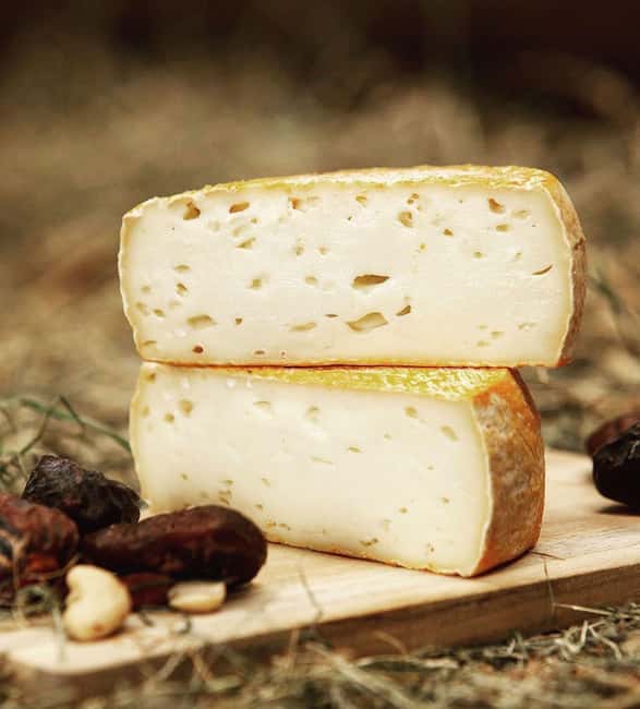 Amsterdam: Cheese Tasting, Windmill & Countryside Bike Tour - How hard is this ride, really