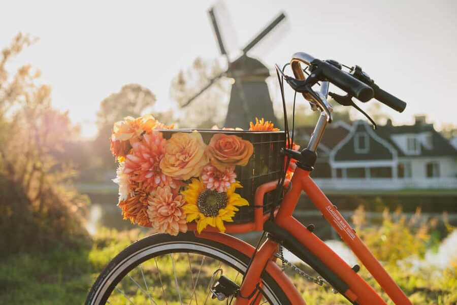 Amsterdam: Cheese Tasting, Windmill & Countryside Bike Tour - Price and value: is $46 a good deal for this mix