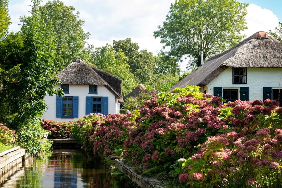 Amsterdam: Giethoorn Tour Scenic Cruise, Cheese & Free Time - Price and value: what you’re paying for at about $75