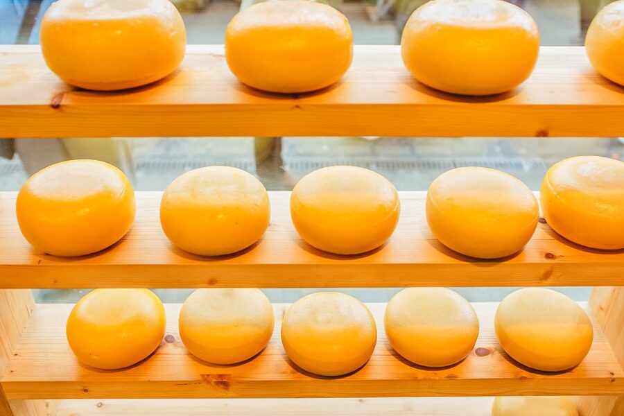 Amsterdam: Premium Henri Willig Cheese Tasting Experience - The Pacing Works: From Intro to Comparisons in 40–60 Minutes