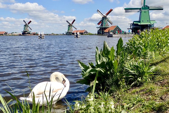 Amsterdam private tour to windmills, cheese farm and villages - Why a private Amsterdam countryside day feels different