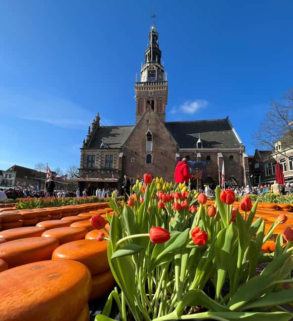 Amsterdam: Traditional Cheese Market Tour to Alkmaar - Key things to know before you go