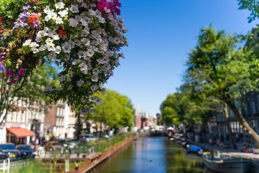 Amsterdam Walking Tour with Cheese Tasting - Who this tour is best for (and who should skip it)