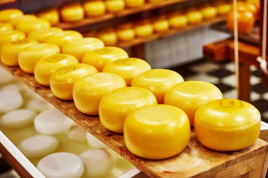Amsterdam: Zaanse Schans, Cheese Tasting & Volendam Tour - Volendam Fishing Village: Harbor Walks, Shops, and Local Bites at Your Pace