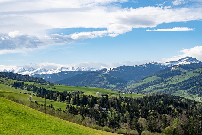 Appenzell Alps Day Trip from Zurich – Farm Life & Cheese Tasting - Appenzeller Schaukaserei: how tangy cheese is made