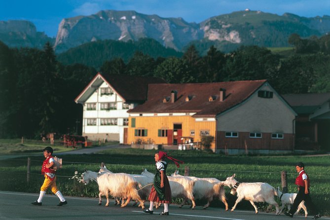 Appenzell Alps Day Trip from Zurich – Farm Life & Cheese Tasting - The scenic drive: Lake Zürich to rolling Appenzellerland