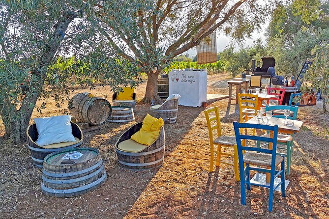 Archeology, visit to a vineyard and wine and pecorino cheese tasting - Price and value: what you’re actually paying for