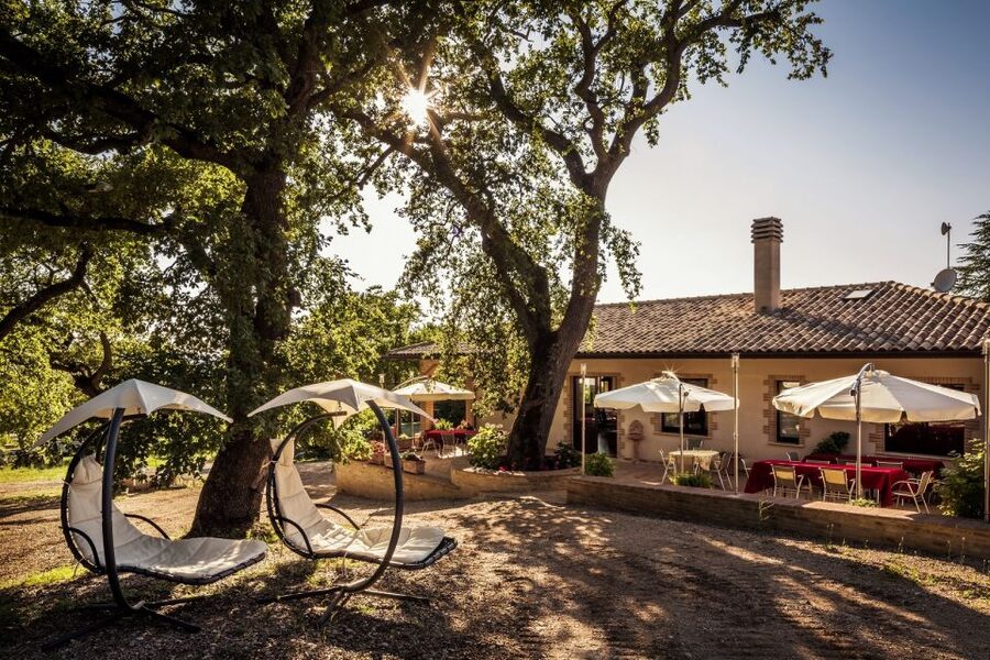 Assisi: Organic Wine and Cheese Tasting - The Wines and Pairings: 4 Organic Bottles With Umbrian Classics