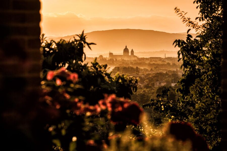 Assisi: Organic Wine and Cheese Tasting - Who Should Book This Wine and Cheese Tasting?