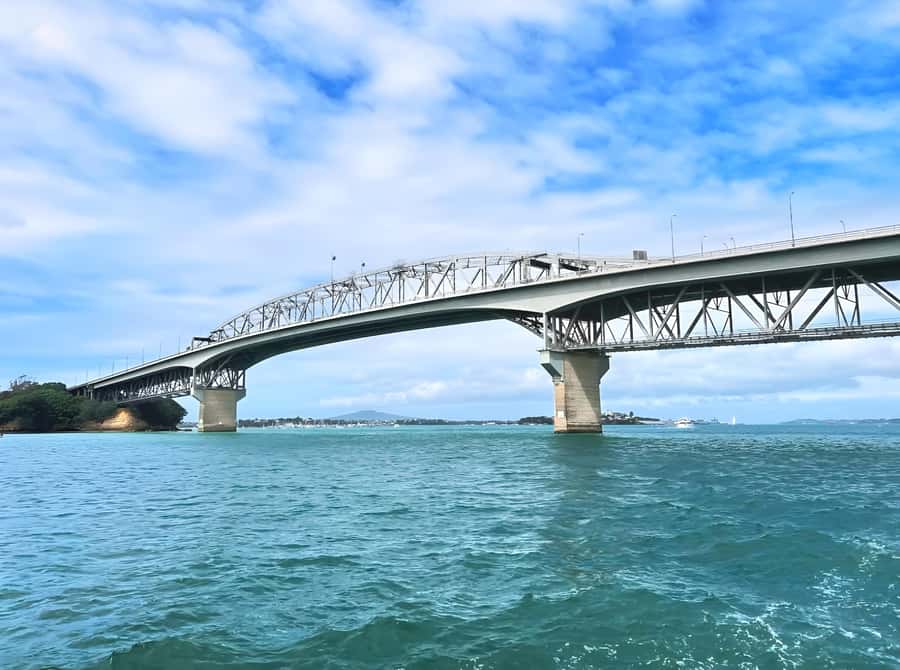 Auckland: Scenic Wine and Cheese Harbour Cruise - Key highlights worth planning for