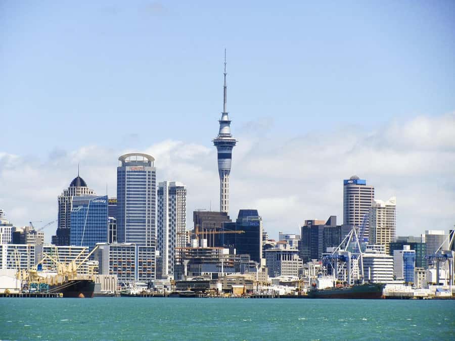 Auckland: Scenic Wine and Cheese Harbour Cruise - A 90-minute Auckland harbour cruise that feels like a day off
