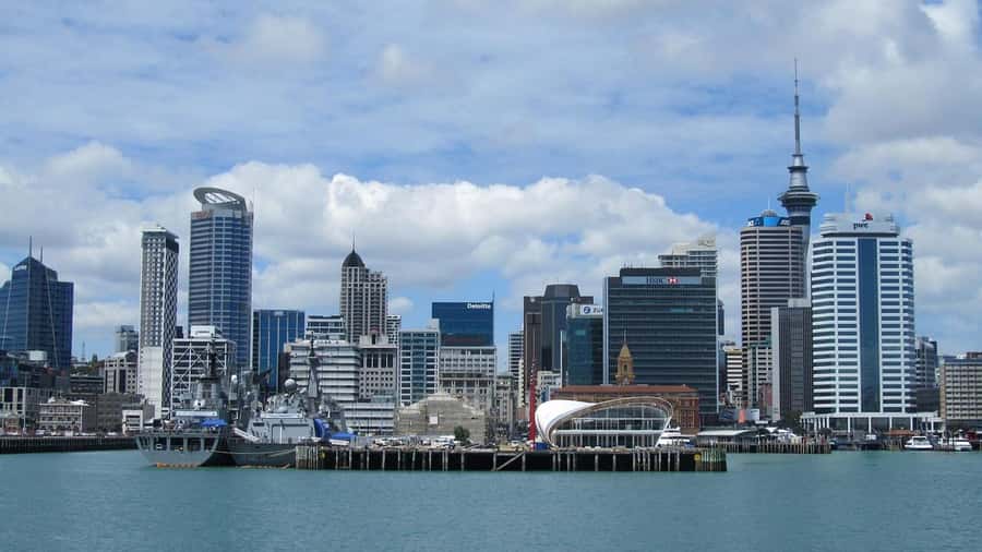 Auckland: Scenic Wine and Cheese Harbour Cruise - Price and value: why $33 can feel fair for Auckland