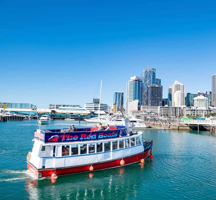 Auckland: Scenic Wine and Cheese Harbour Cruise - Who should book this cruise (and who might not)