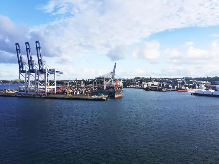 Auckland: Scenic Wine and Cheese Harbour Cruise - Final thoughts: should you book the Auckland Scenic Wine and Cheese Harbour Cruise?