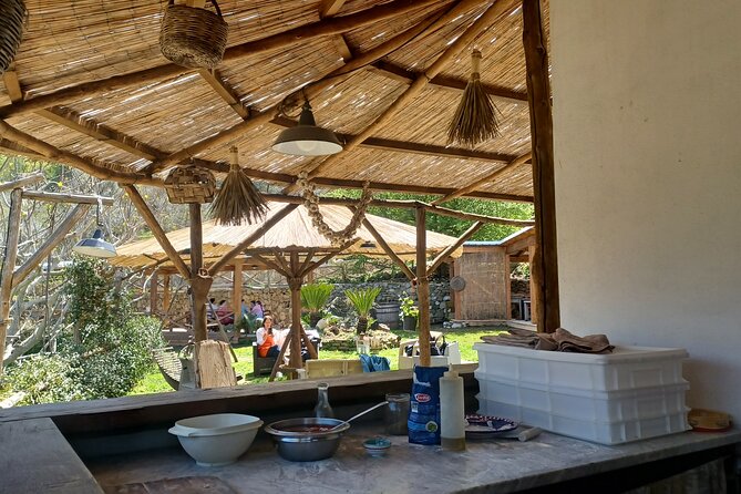 Authentic Farm Tour with Pizza, Cheese, Wine & Limoncello Tasting - Vineyard time: wine tasting with real context