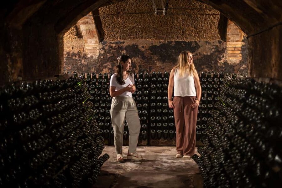 Barcelona: Cavas Hill - Winery Tour & Cheese Tasting - Vineyard-to-Cellar Tour: What the 2 Hours Really Includes