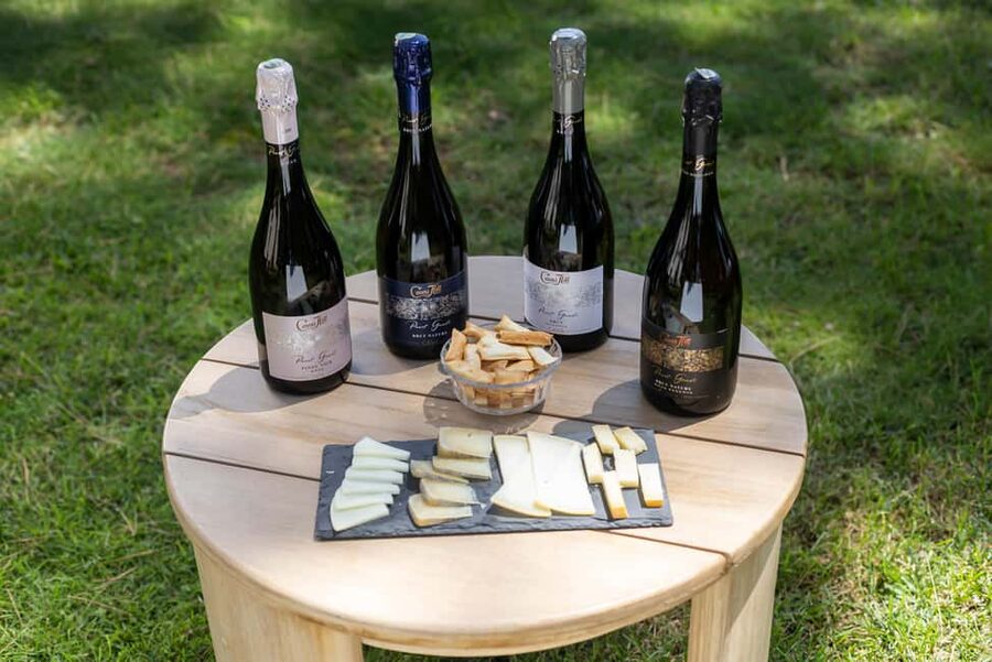 Barcelona: Cavas Hill - Winery Tour & Cheese Tasting - Finding the Place: The Gate by El Cricell School