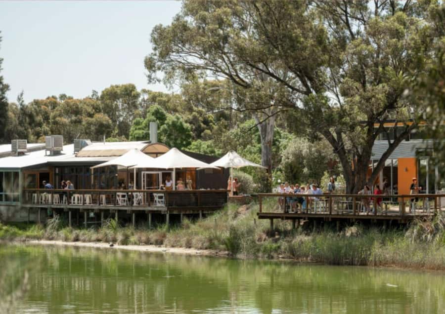 Barossa Valley: Maggie Beer's Wine Tasting & Cheese Platter - Key Takeaways Before You Go