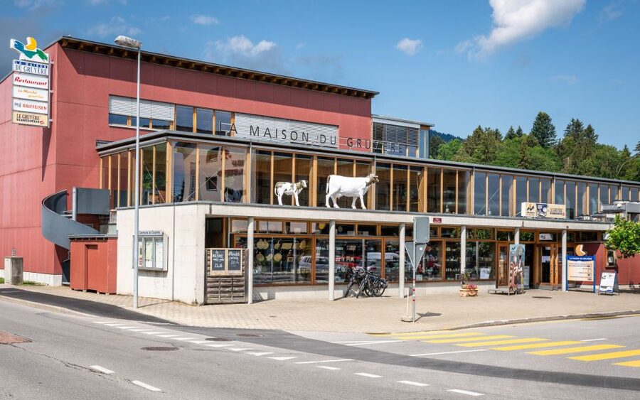 Bern: Gruyères Cheese and Cailler Chocolate Tasting Tour - Who should book this Gruyère and Cailler day tour?