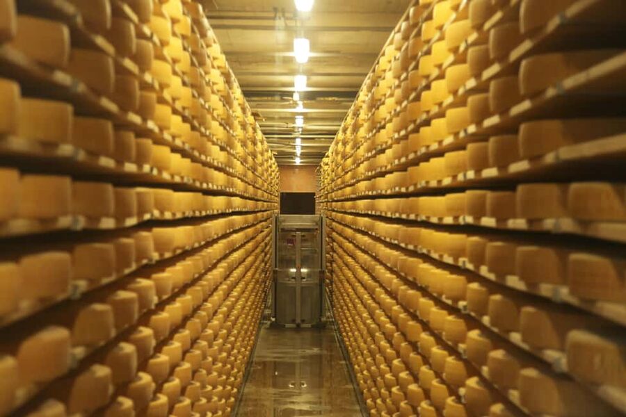 Bern: Gruyères Cheese and Cailler Chocolate Tasting Tour - La Maison du Gruyère: cheese tasting that actually teaches