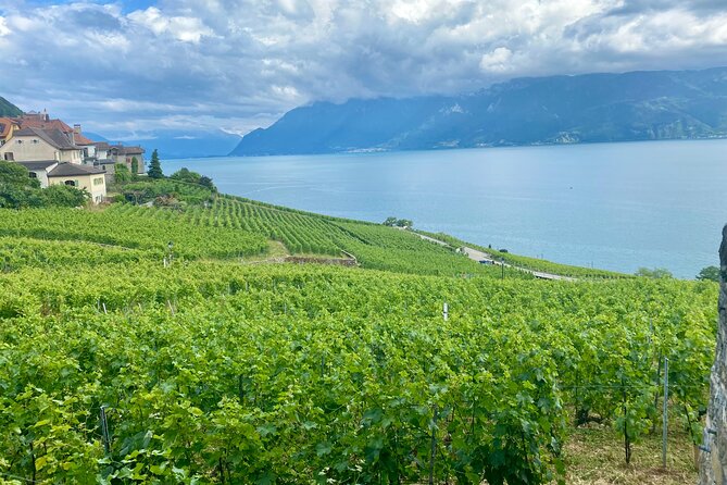 Bern Private Tour - Gruyères , Cheese, and Lavaux's UNESCO Wine - La Maison du Gruyère: A cheese workshop you can actually taste