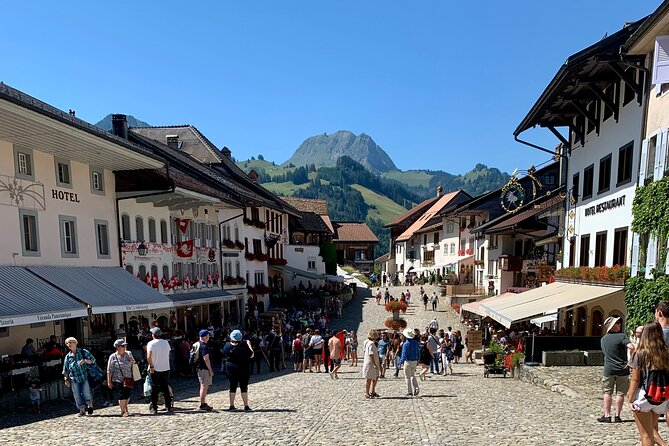 Bern Private Tour - Gruyères , Cheese, and Lavaux's UNESCO Wine - Epesses in Lavaux: a guided climb to Clos de la République