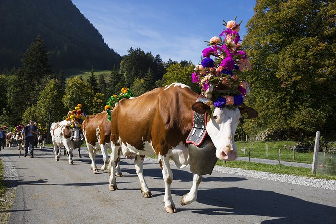 Berne the Capital and Cheese paradise Emmental (Private Tour) - Should You Book This Bern and Emmental Private Tour?