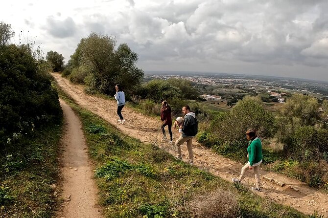 Bread, Wine&Cheese, The Natural Taste - From Jardim Zoológico to Angel’s Farm: the taste route starts early