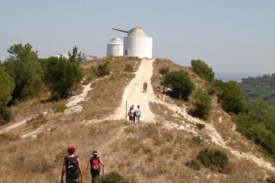 Bread, Wine&Cheese, The Natural Taste - Bread-making by a working windmill on Laurel Hill