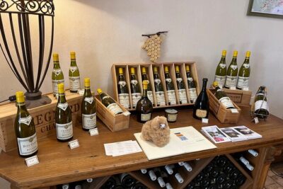Burgundy Wine & Cheese Tasting Private Day Trip 15 glasses - Chablis village producer tasting: Petit Chablis to Grand Cru