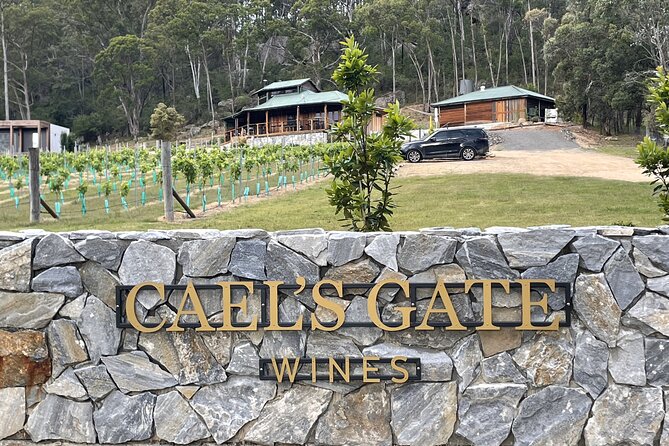 Cael’s Gate Wine and Cheese Tasting in Hunter Valley - Inside the contemporary cellar door: what changes with weather