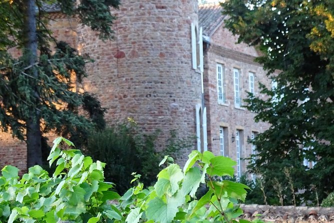 Cheese and Wine Accord Tour at Château de Champ-Renard - The Small-Group Advantage (and Why Guides Matter)