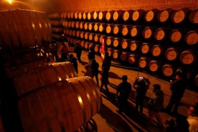 Cheese and Wine Route with 2 Towns, starting from Querétaro - Stop 1: Queretaro City cheese factory tasting