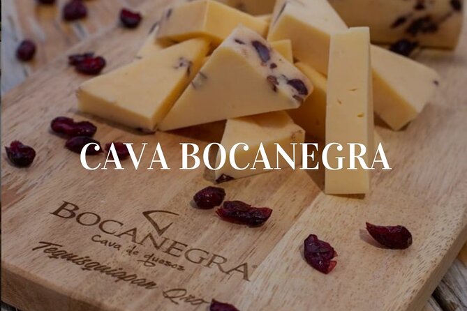 Cheese and Wine Route with 2 Towns, starting from Querétaro - Stop 3: Vina Tx vineyard pairing with aged cheeses