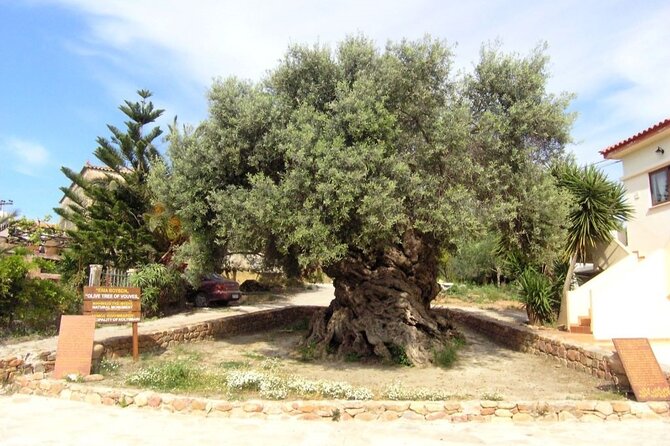 Cheese and Wine Tasting Tour From Chania - Price and value: what $42.06 buys you