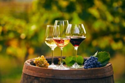 Cheese and Wine Tasting Tour From Chania - The 7-hour route, stop by stop (and why the timing matters)