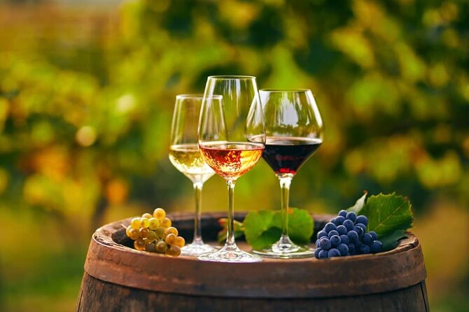 Cheese and Wine Tasting Tour From Chania - The 7-hour route, stop by stop (and why the timing matters)