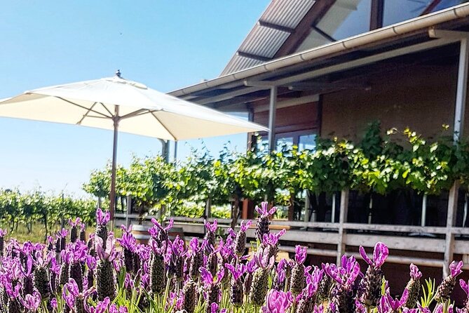 Cheese + Chill - Outdoor Terrace Reality: How Weather Affects the Experience