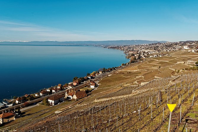 Cheese, Chocolate and Wine in the Bern Region from Luzern - Broc’s Maison Cailler: chocolate you can trace, taste, and take home
