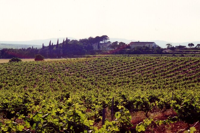 Cheese Factory Workshop with Wine Tasting in Requena, Valencia - Price and what you really get for about $114.70