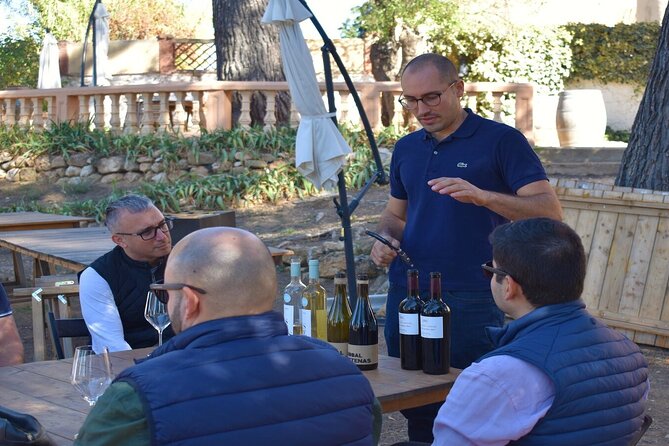 Cheese Factory Workshop with Wine Tasting in Requena, Valencia - Who should book this, and who might want a different route
