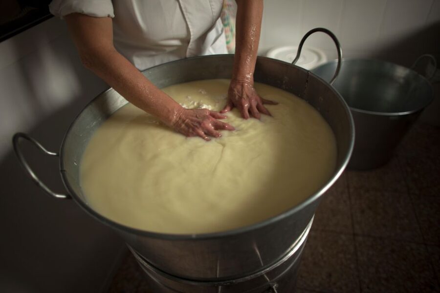 Cheese Making and Tasting Tour from Cagliari with Lunch - Pecorino Sardinian vs Roman: tasting with context