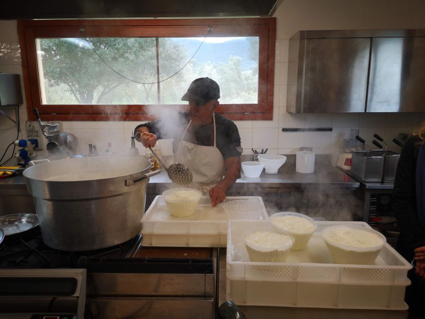 Cheese Making and Tasting Tour from Cagliari with Lunch - Su Sorgiali farm tour: pigs, horses, grain, vineyard, and geese