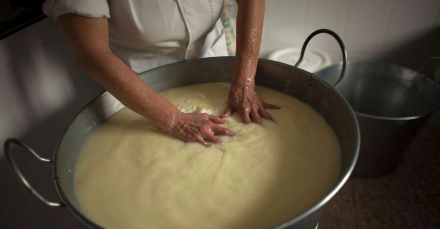 Cheese Making and Tasting Tour from Cagliari with Lunch - The cooking class and tasting rhythm