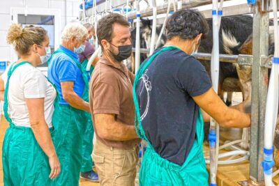 Cheese Making Workshop in Fuerteventura with Breakfast - The 8:00 AM Start: Farm Time, Not Museum Time