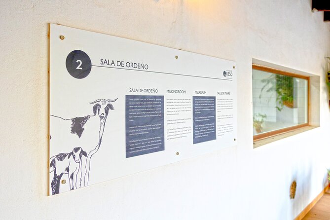 Cheese Making Workshop in Fuerteventura with Breakfast - Taking Home Your Cheese: What You’ll Actually Do With It